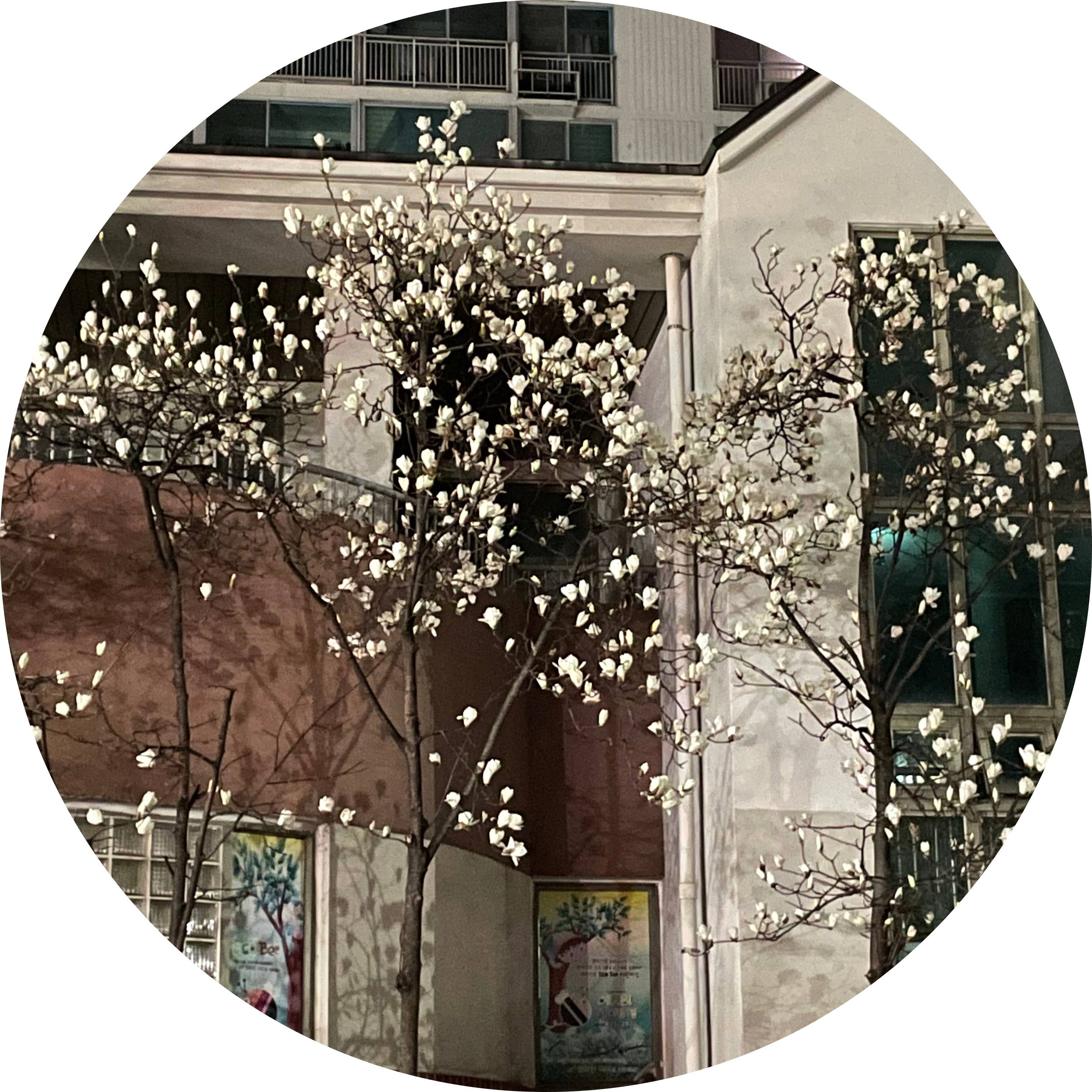 Kitey 프로필