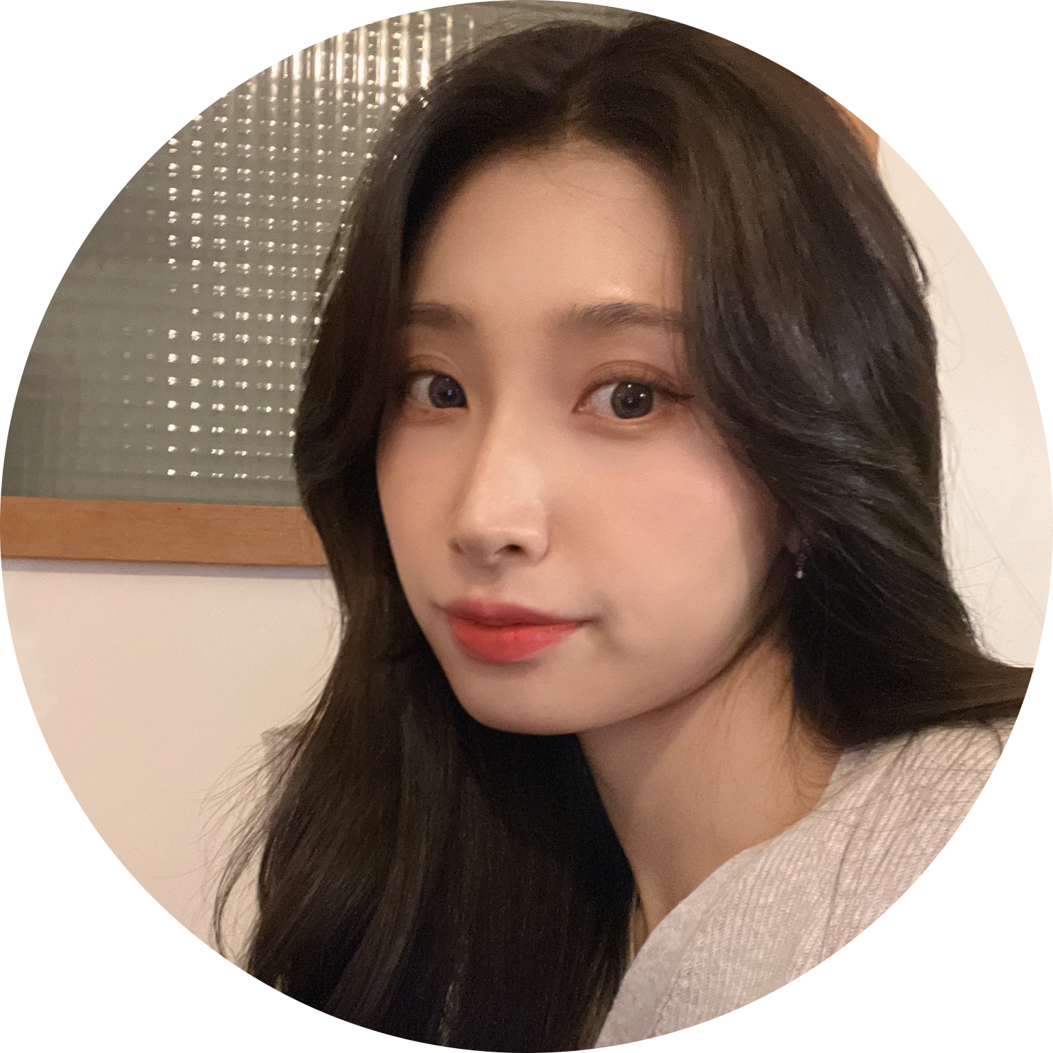 기묘찌 프로필