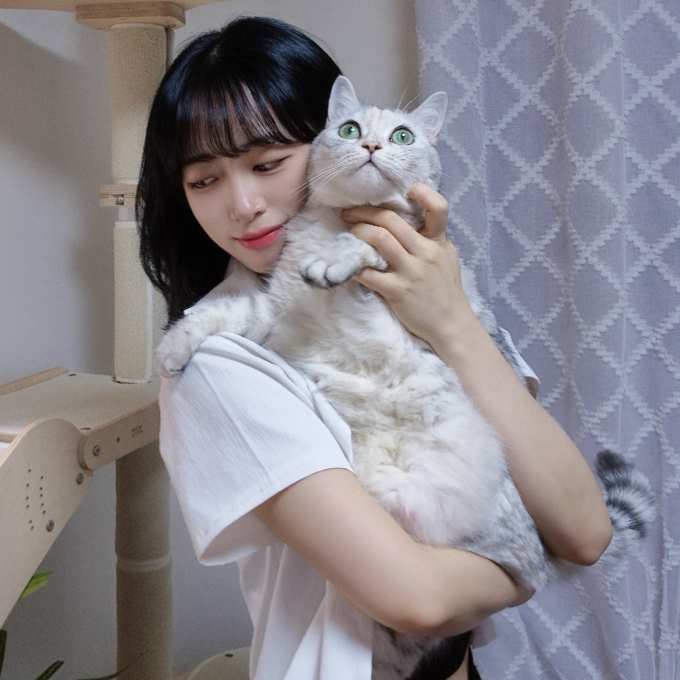 시루냥 프로필