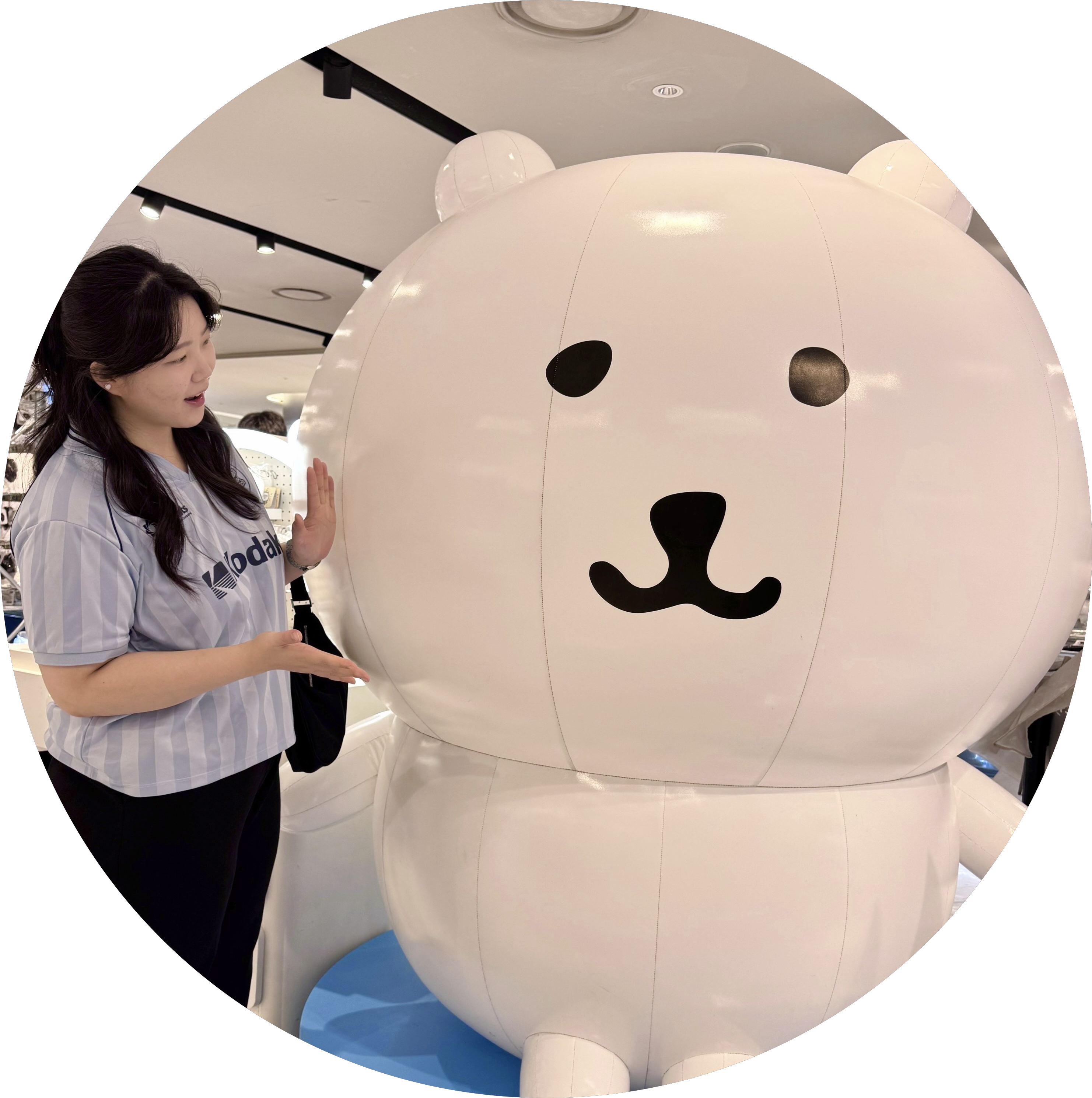 마음심샤프심 프로필