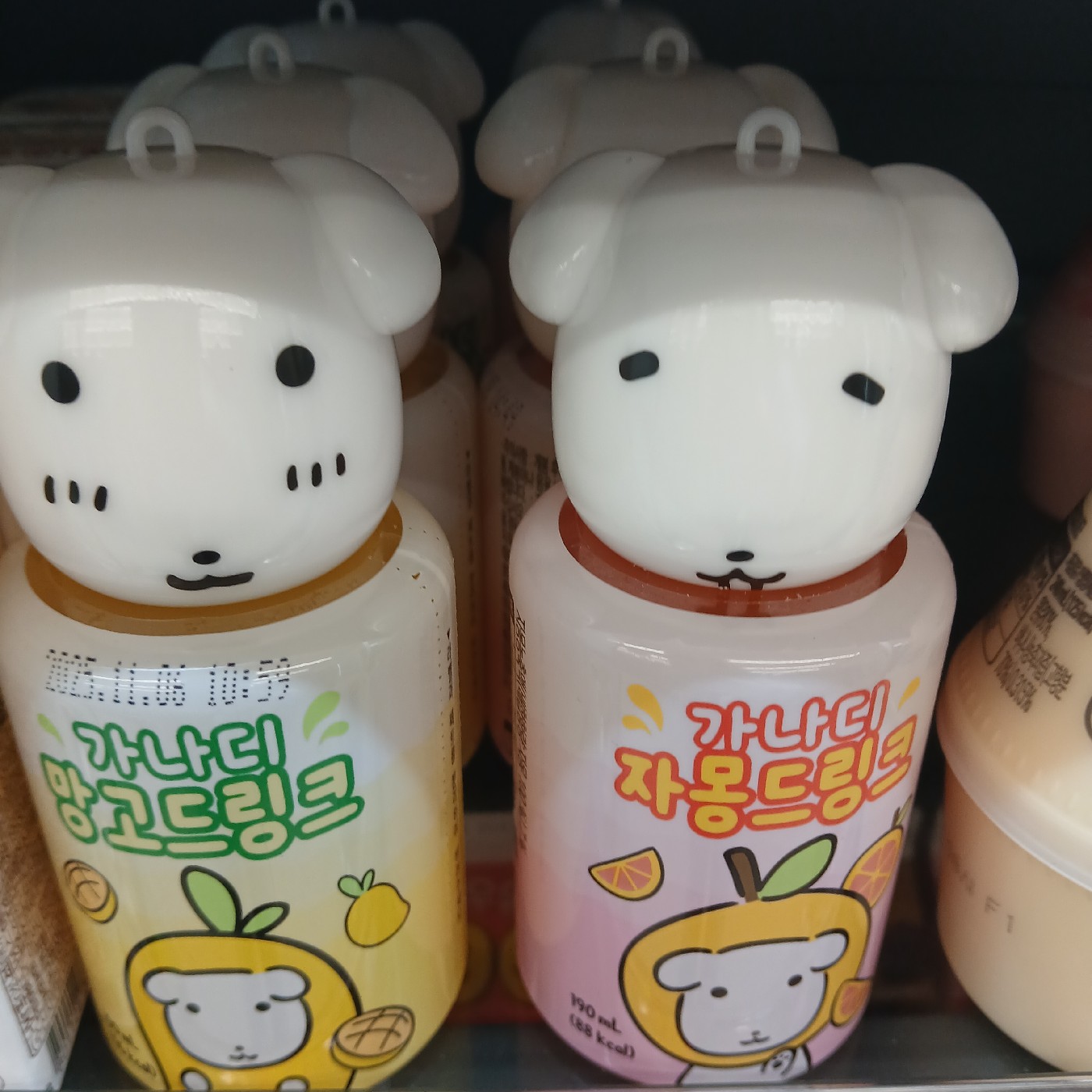 굥kk0 프로필