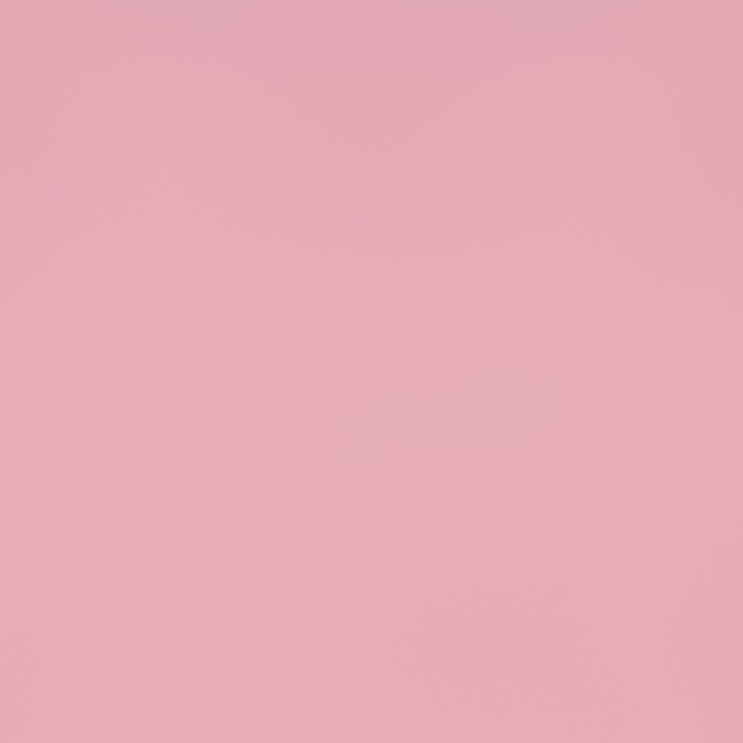 셀프포트레이트 프로필