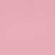 셀프포트레이트