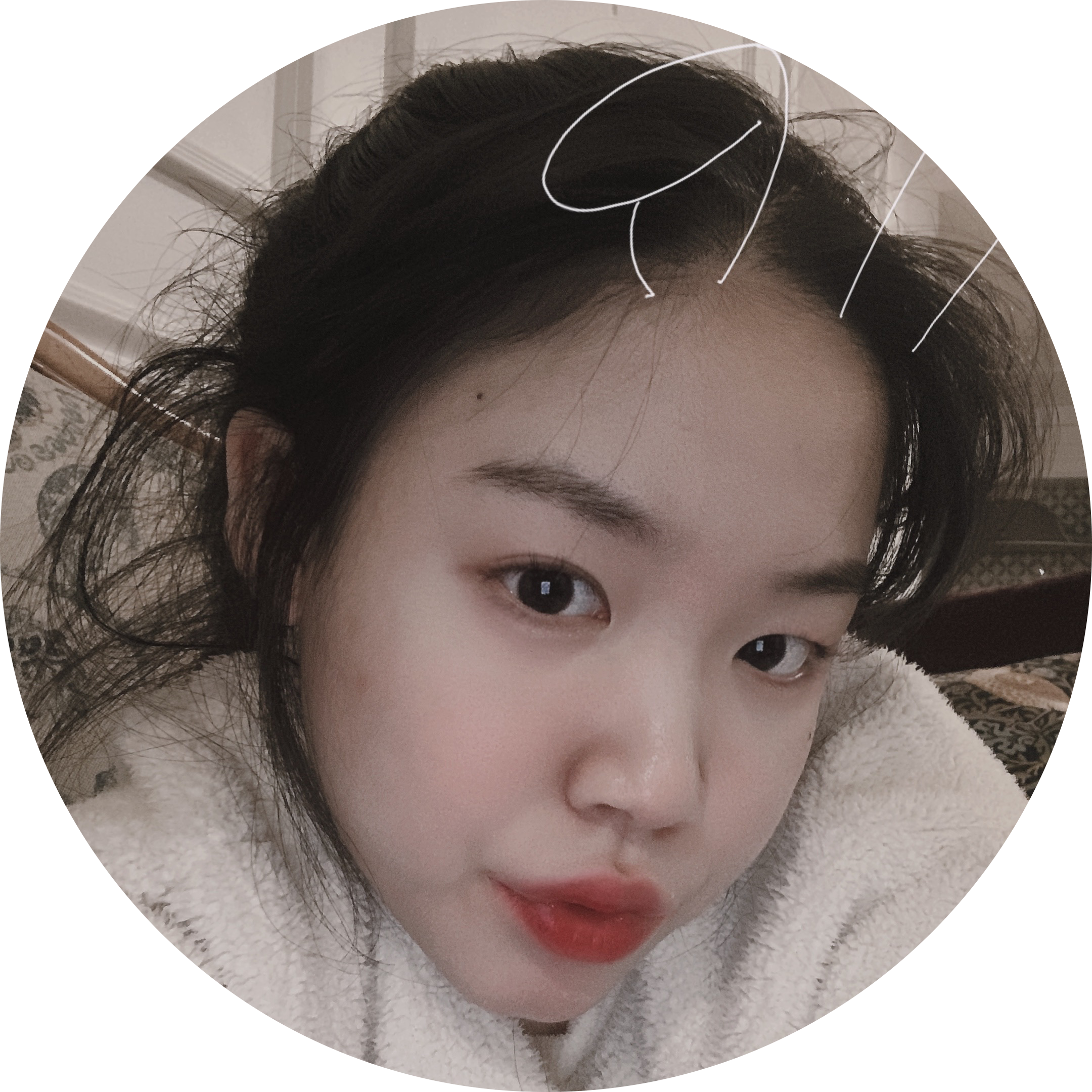 차돌박이싫어 프로필