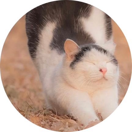 볼빵빵쏭 프로필