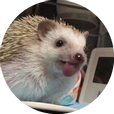 고슴도치치