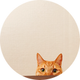 개가