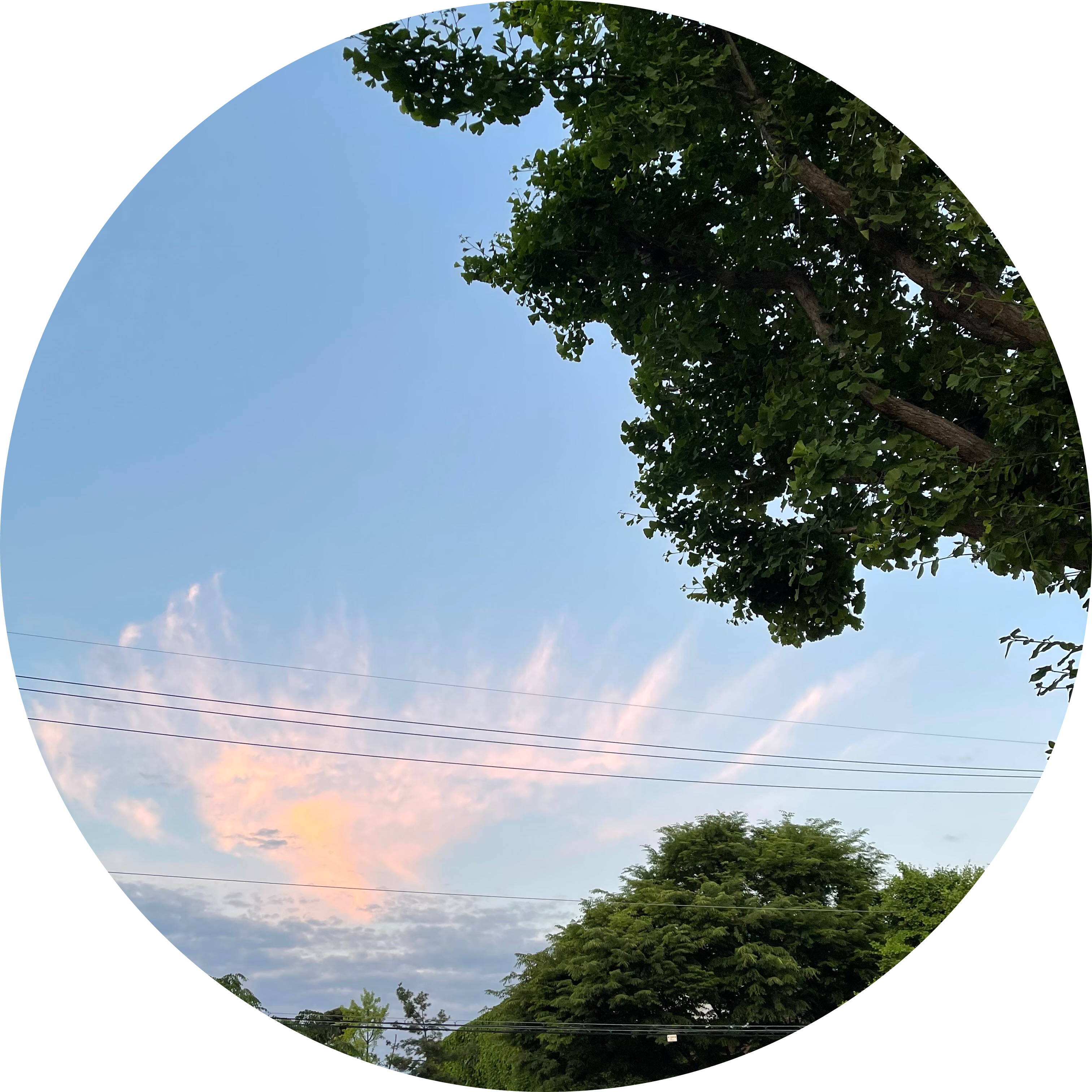 리뷰어 프로필
