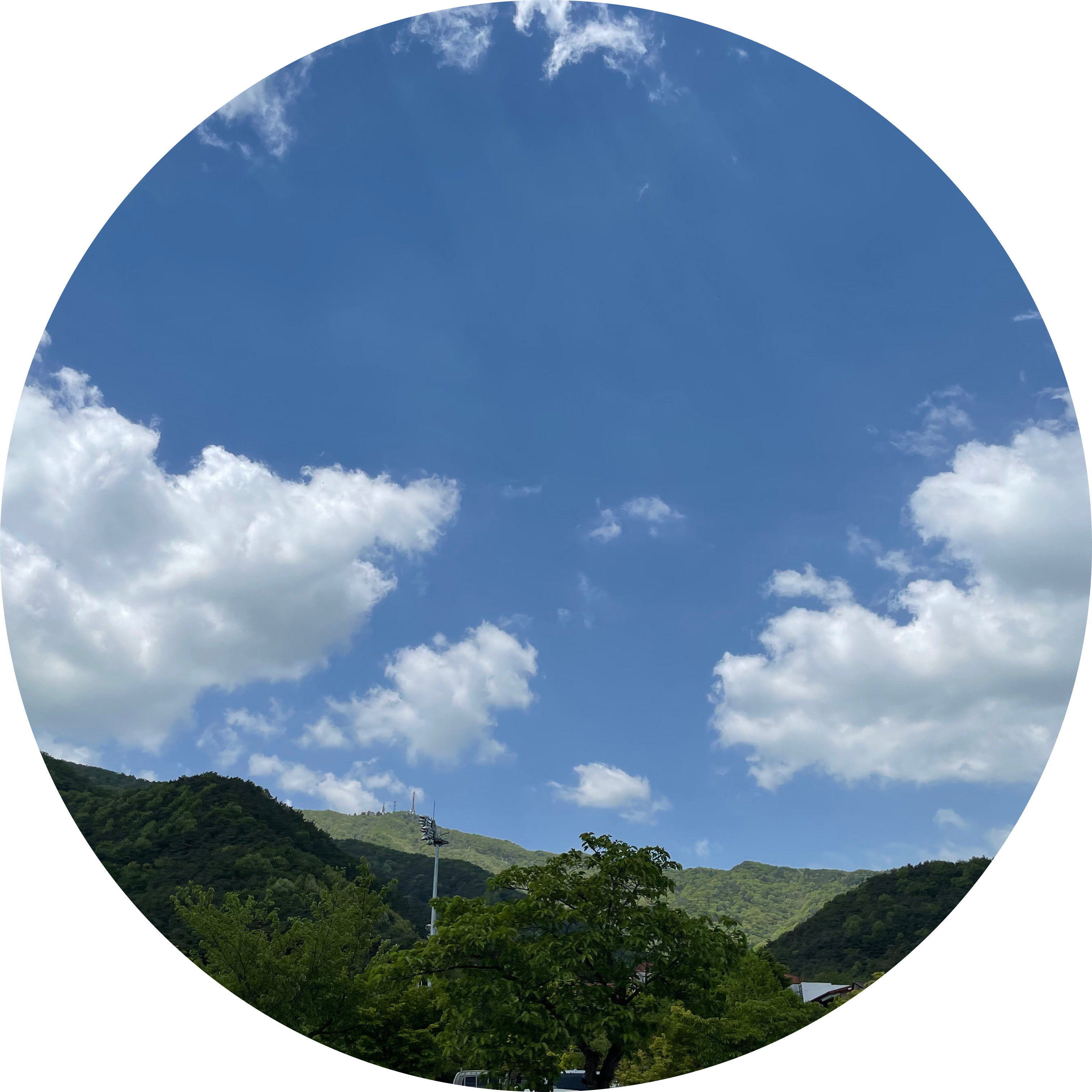 뮴므 프로필