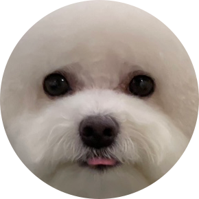 뚬니짱 프로필