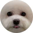 뚬니짱
