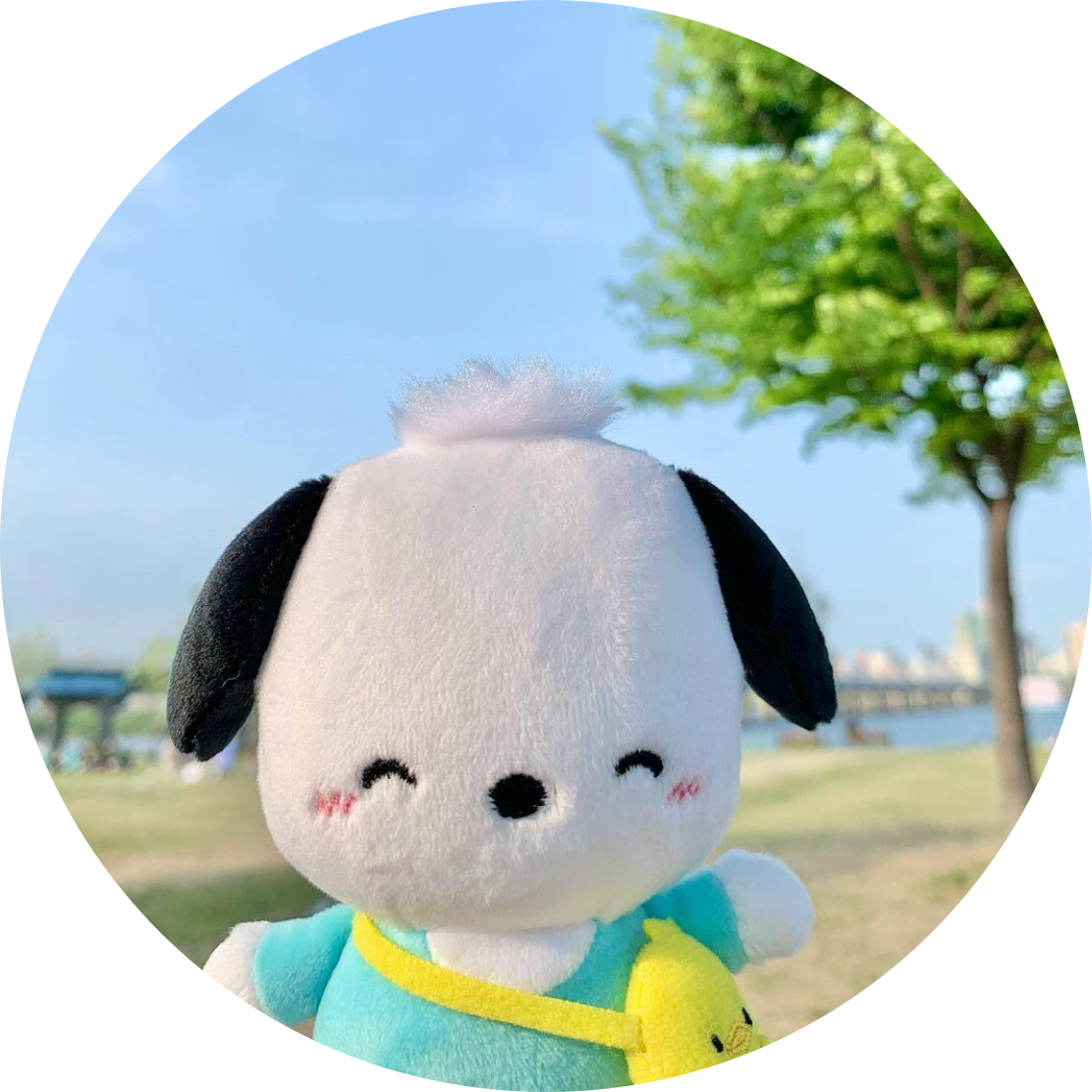 소소99 프로필