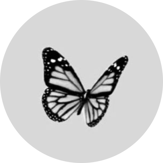 navi_0 프로필