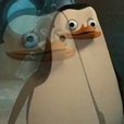서선