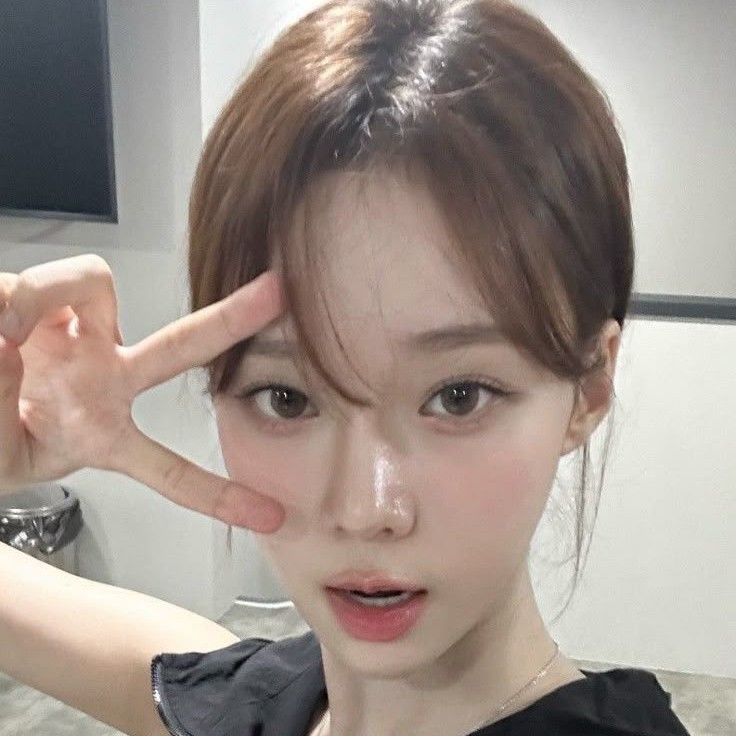 깅햄 프로필