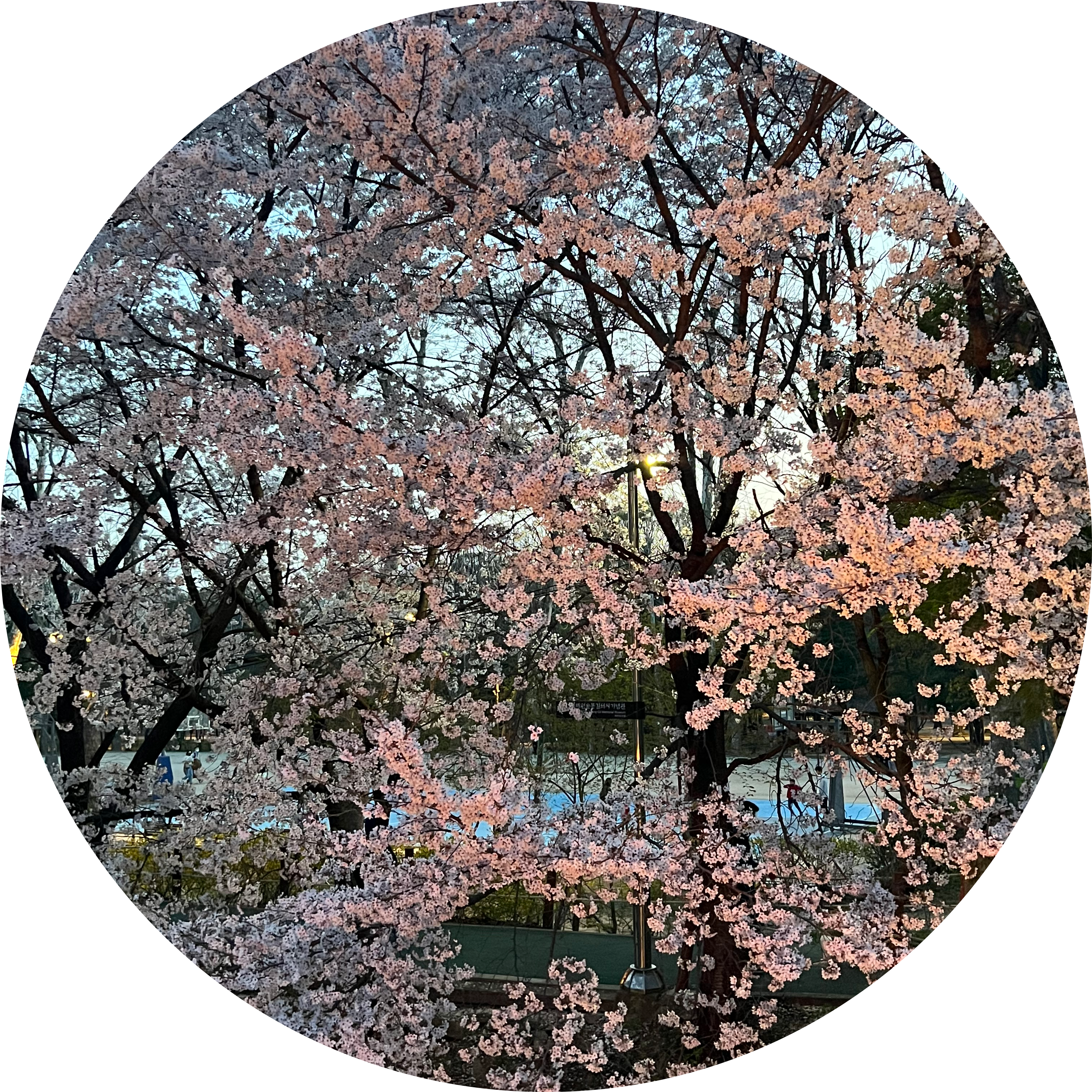 리뷰어 프로필