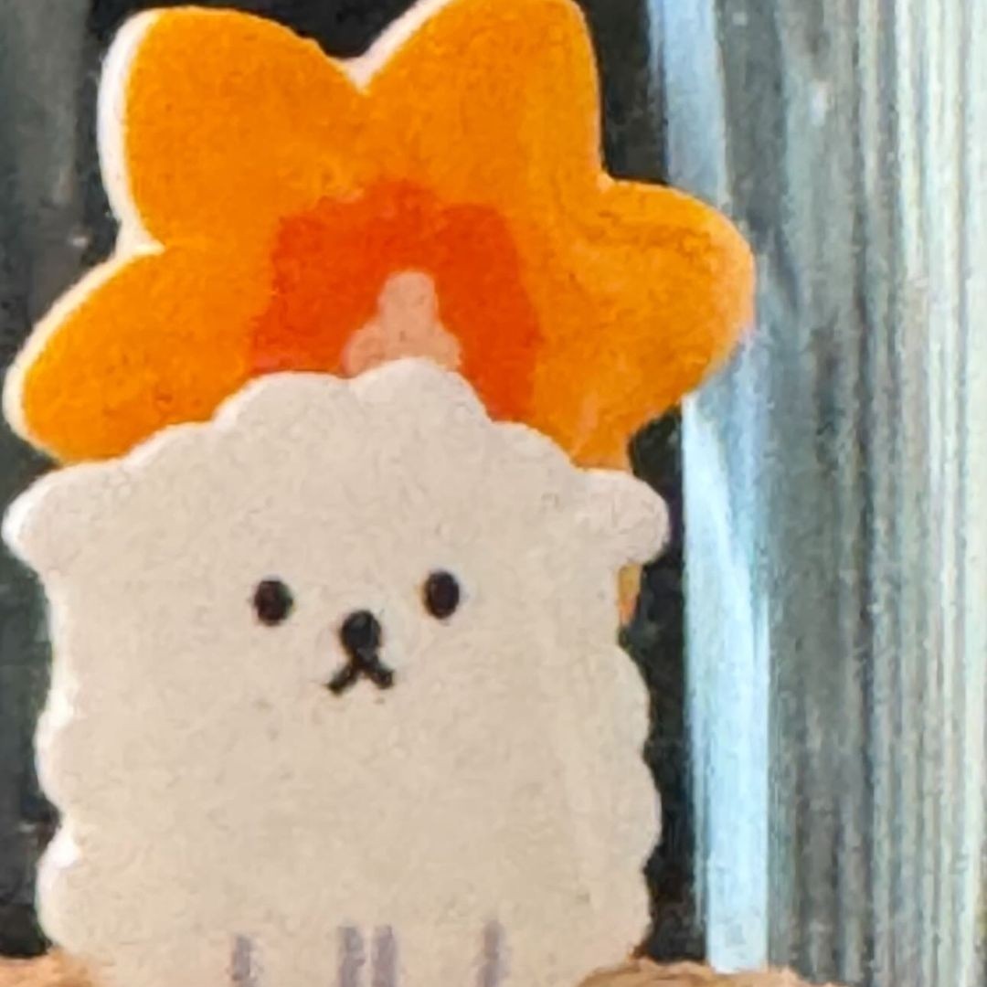 뿌뿌1122 프로필