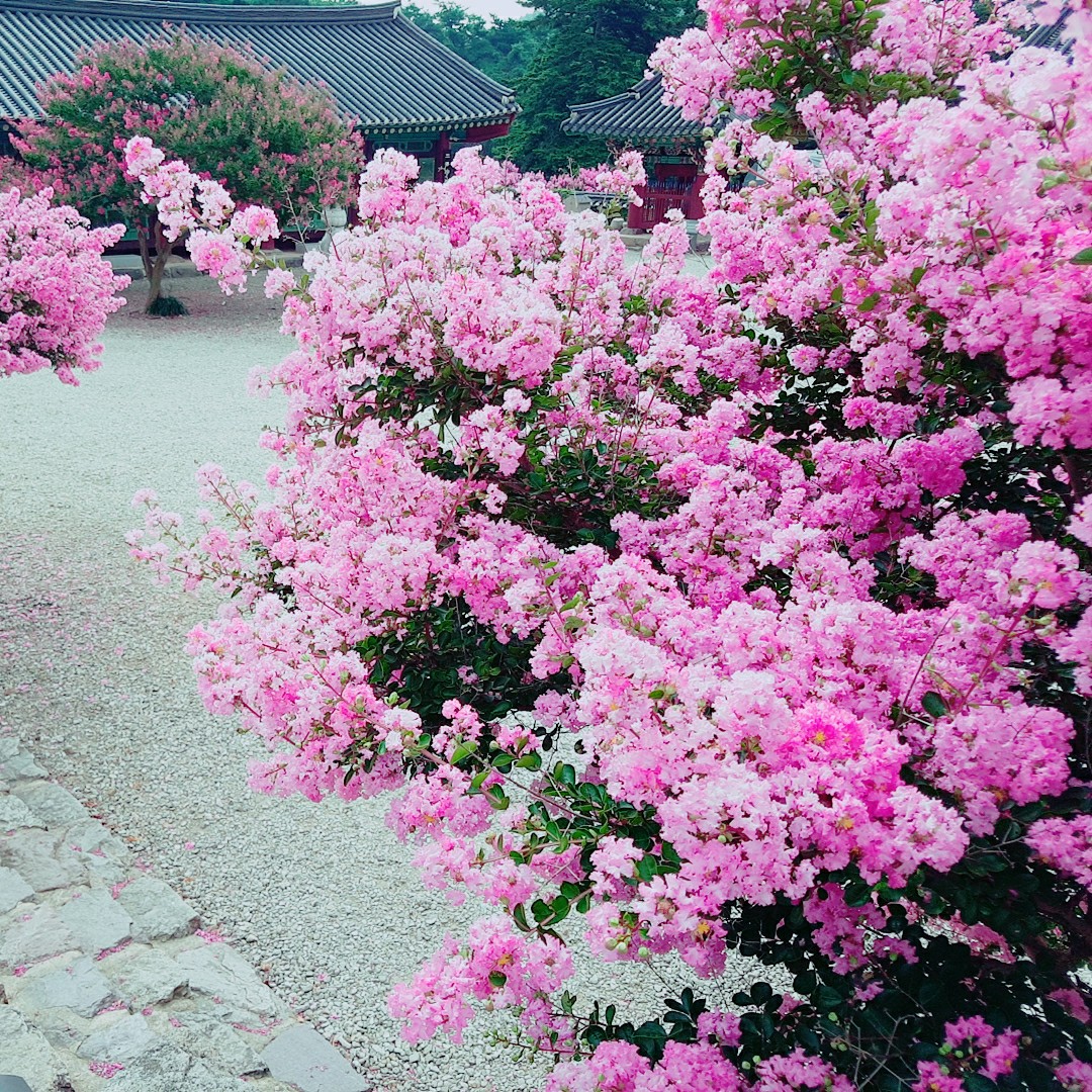 Yun_Yun 프로필