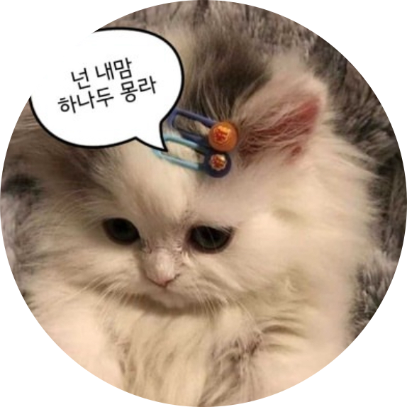 hesutory 프로필