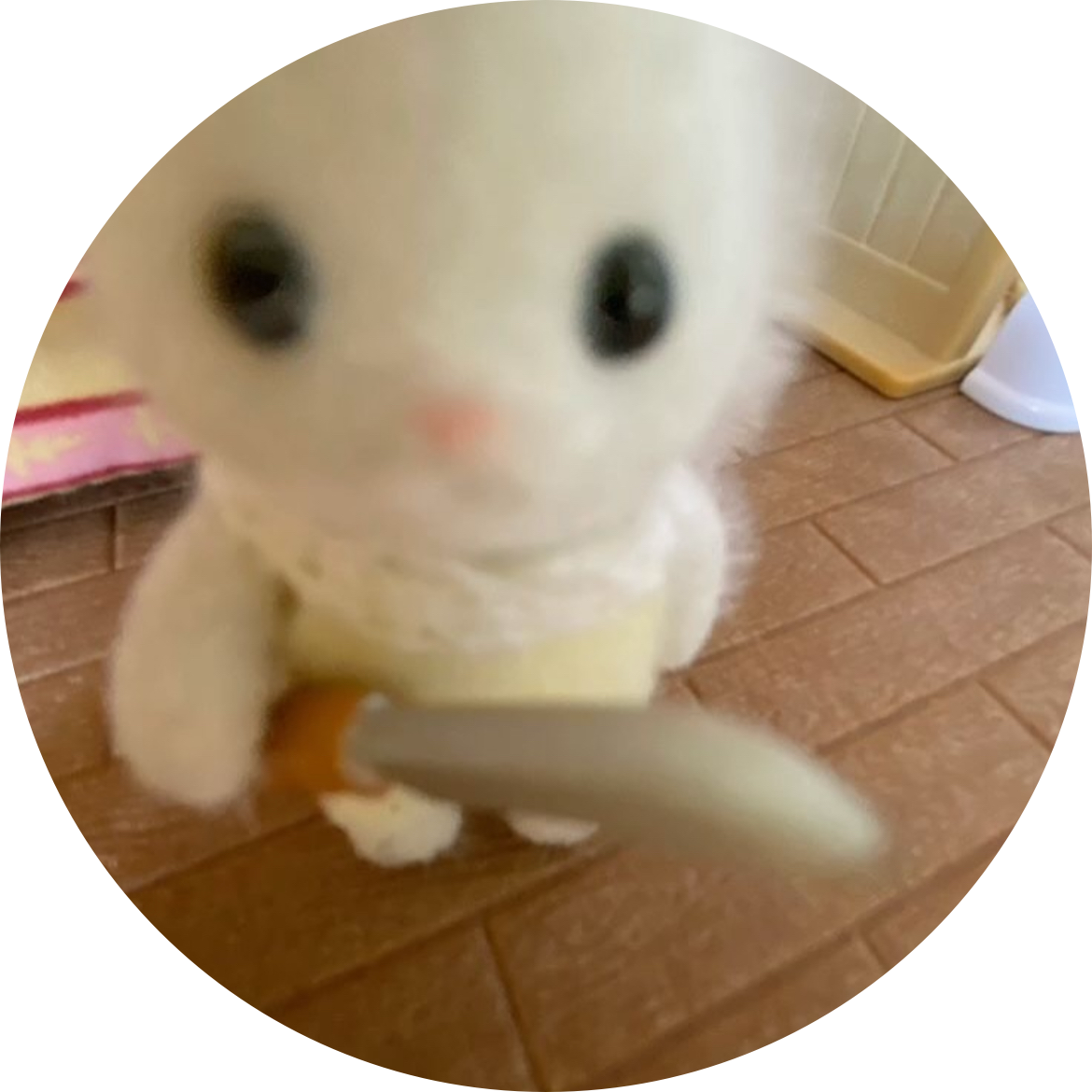 리뷰어 프로필