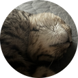 sosknz