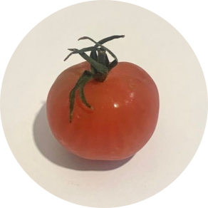 방울도마도 프로필