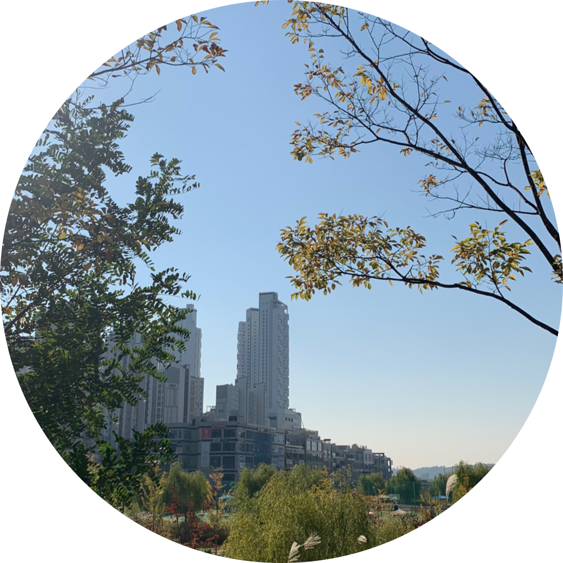계잉 프로필