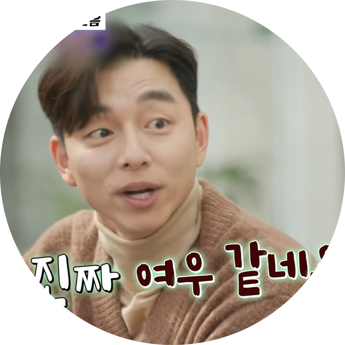 모모는달코비 프로필