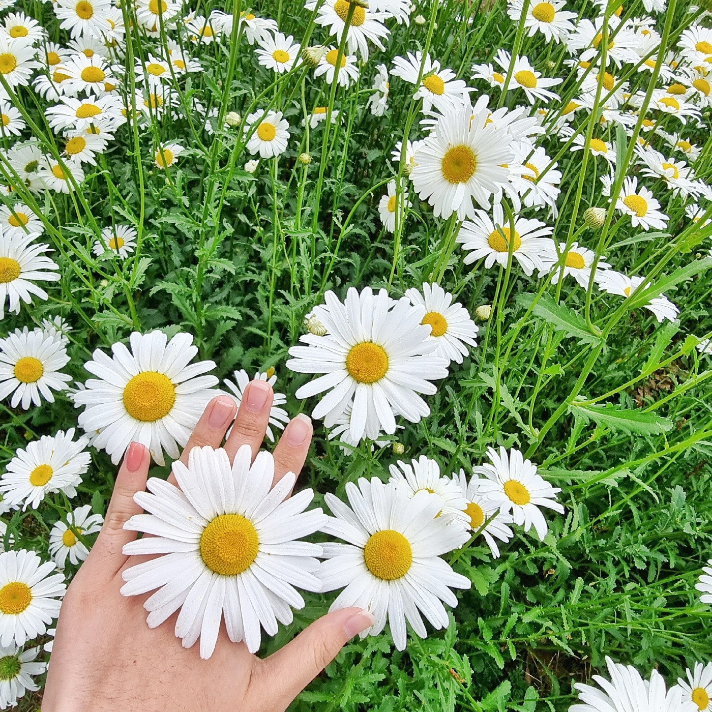 리뷰어 프로필