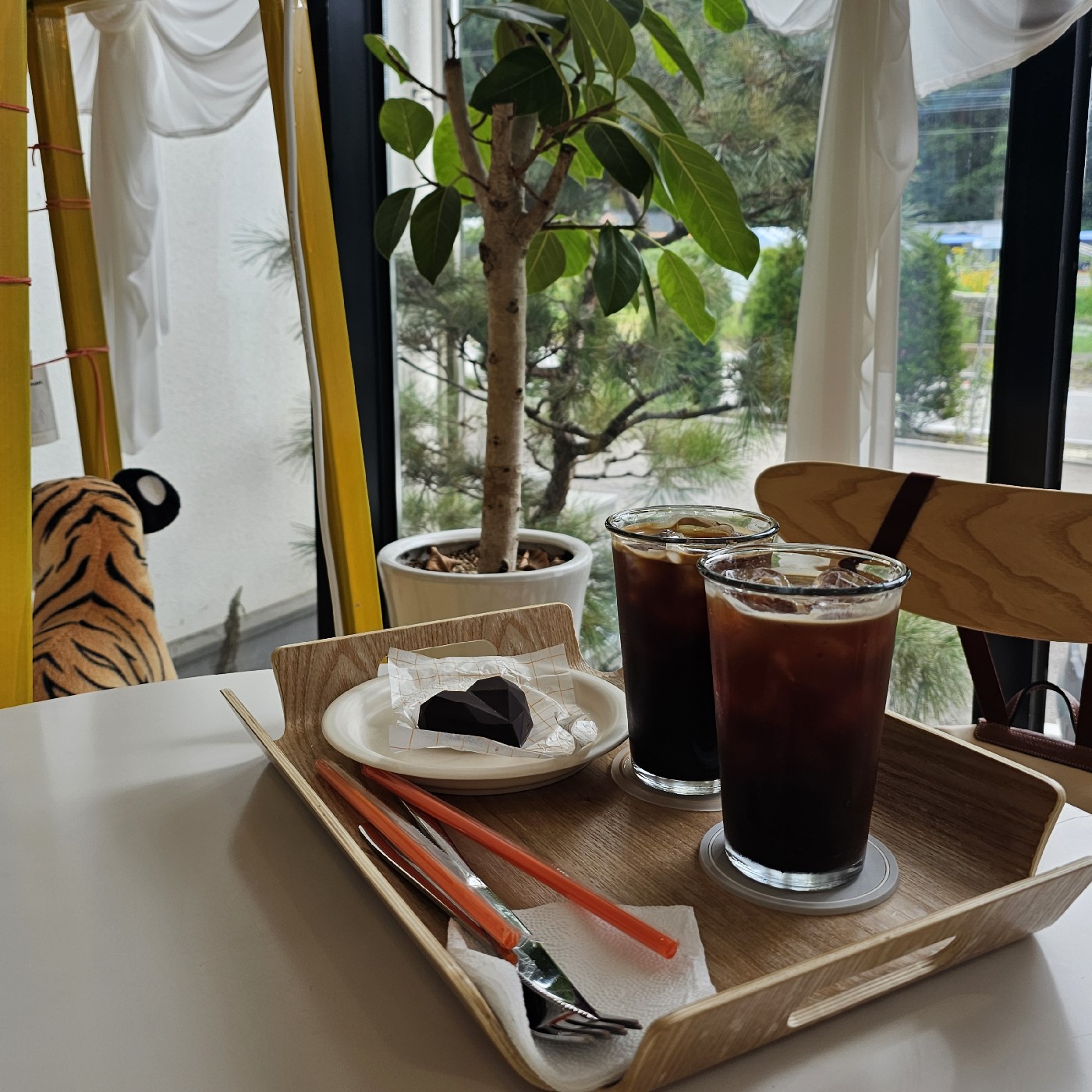 coco10 프로필