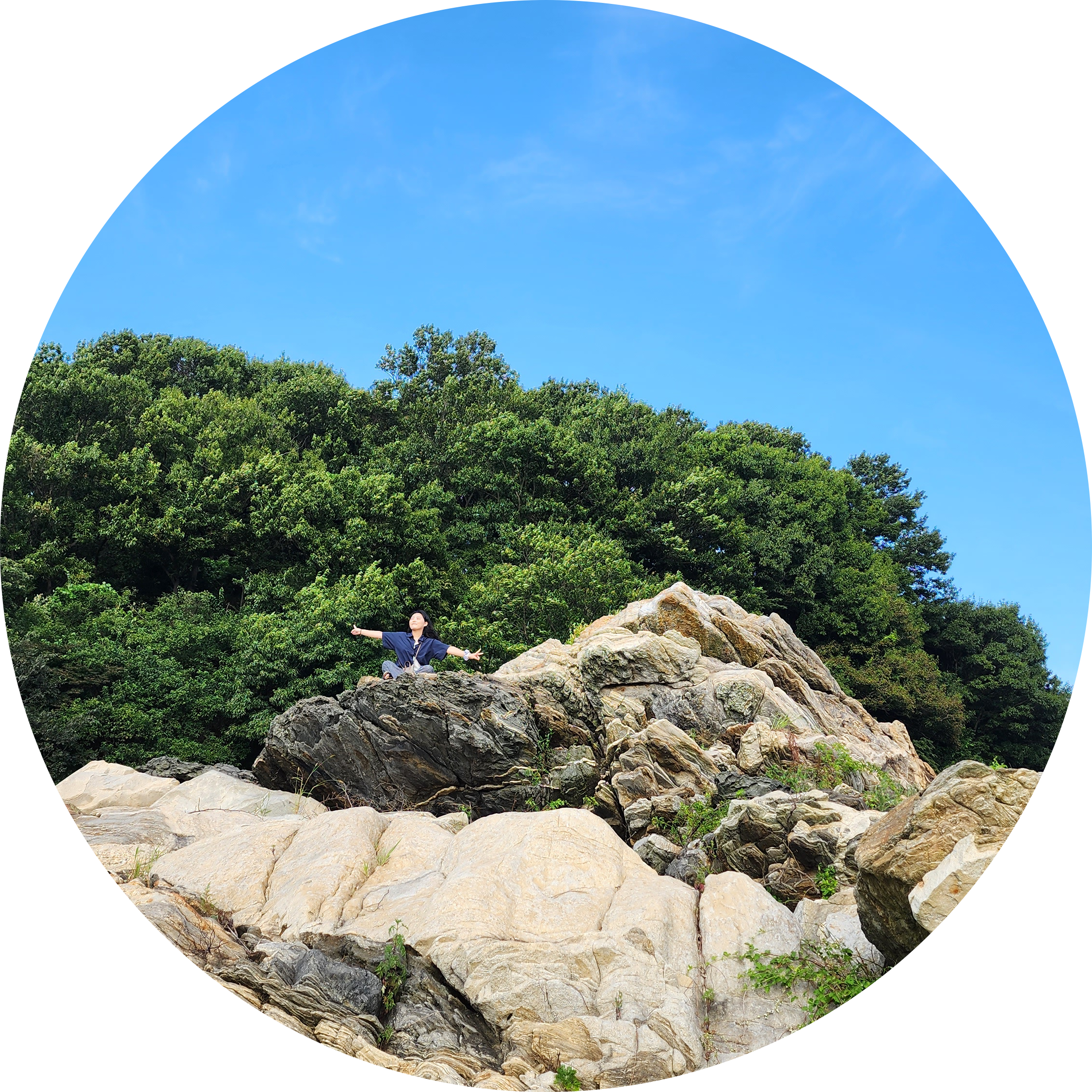 밍들레 프로필