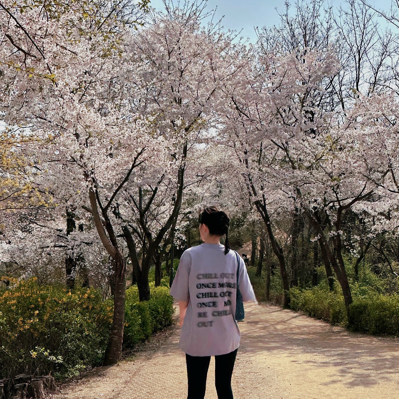 NY 프로필
