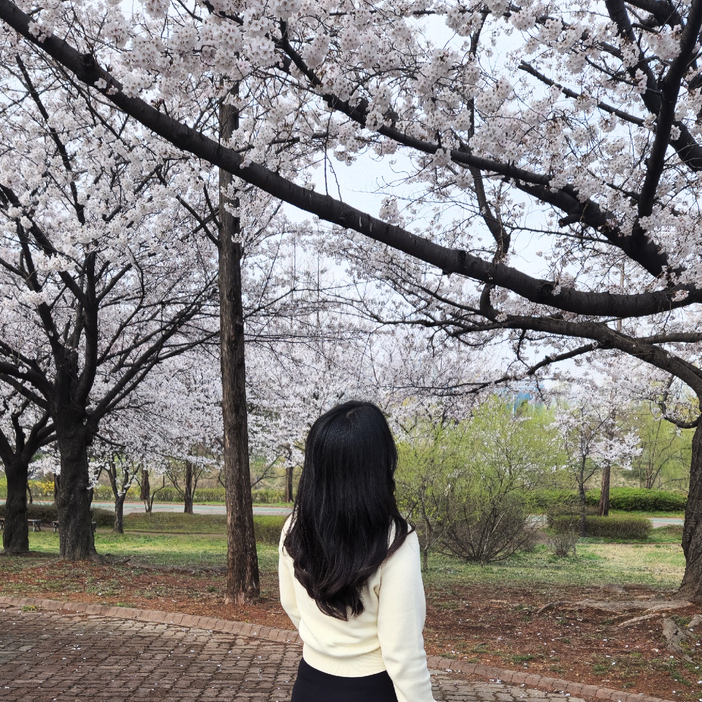 은너울 프로필