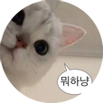 찹쌀떡이