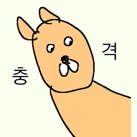 바밥앵 프로필