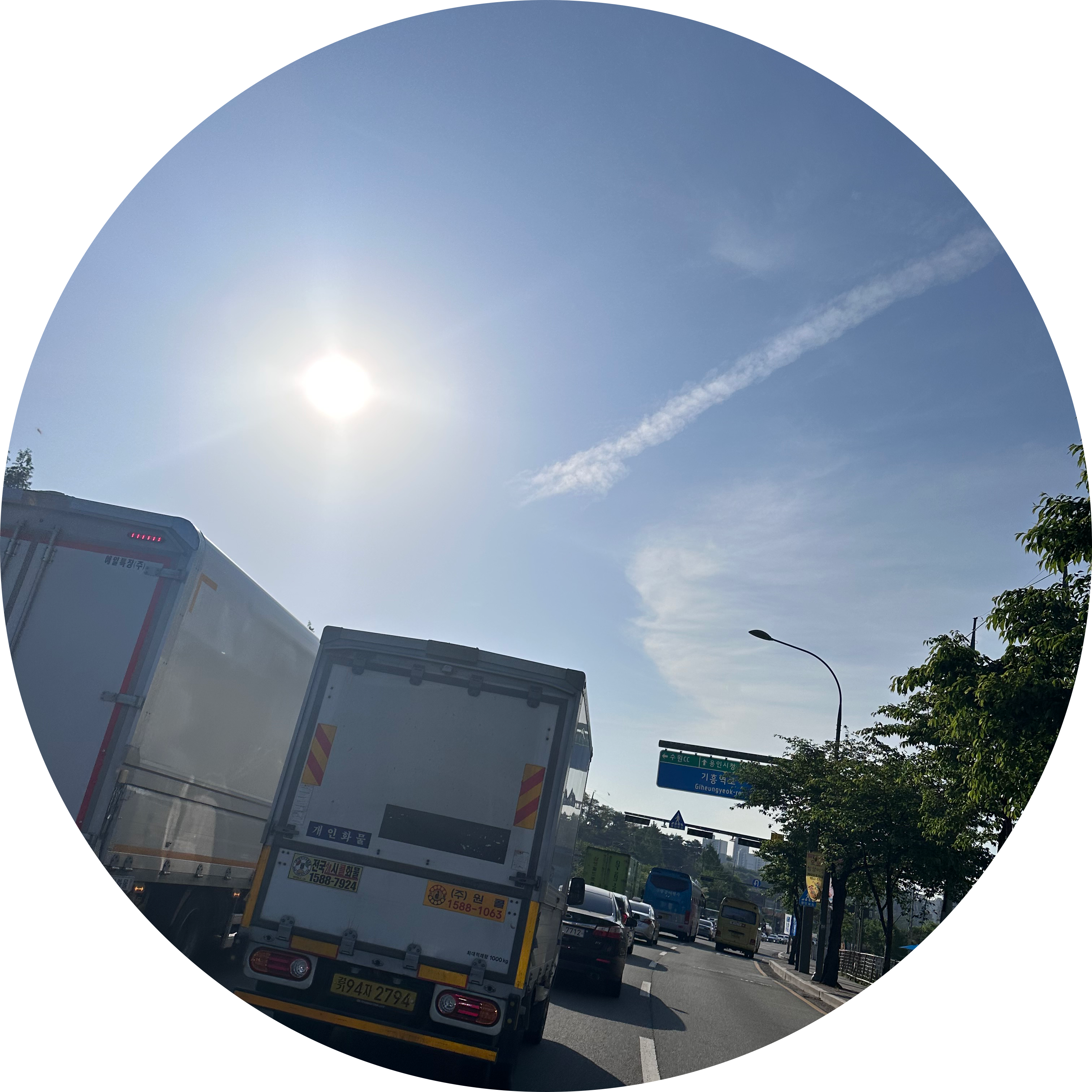 솔찍 프로필