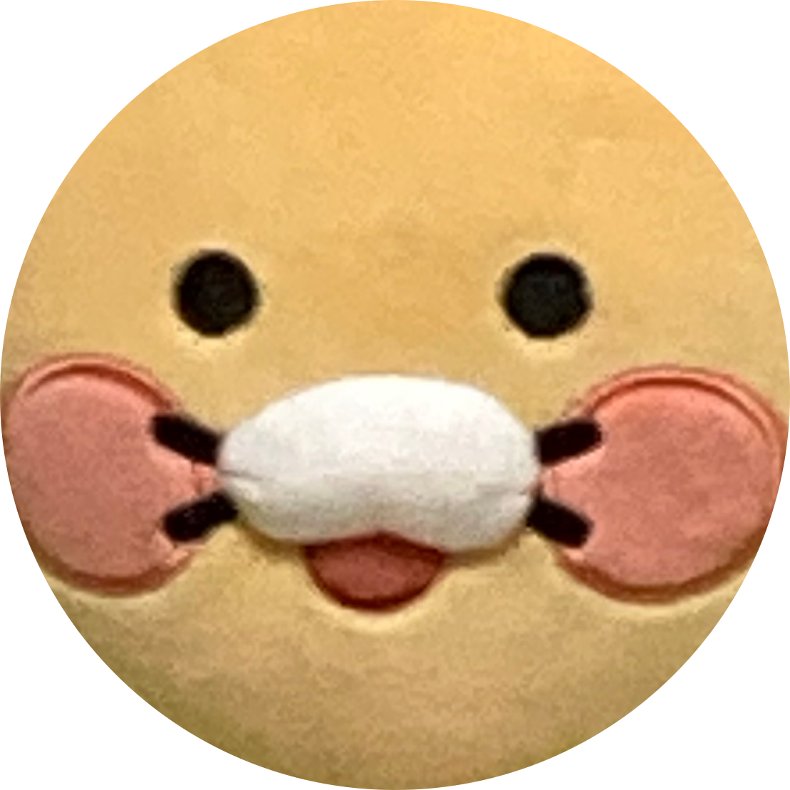 두루미와거북이 프로필