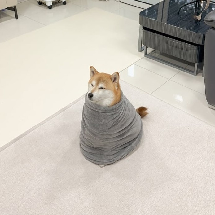 밍망몽맹뭉 프로필