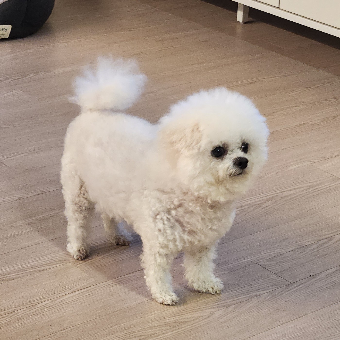 숑언니 프로필