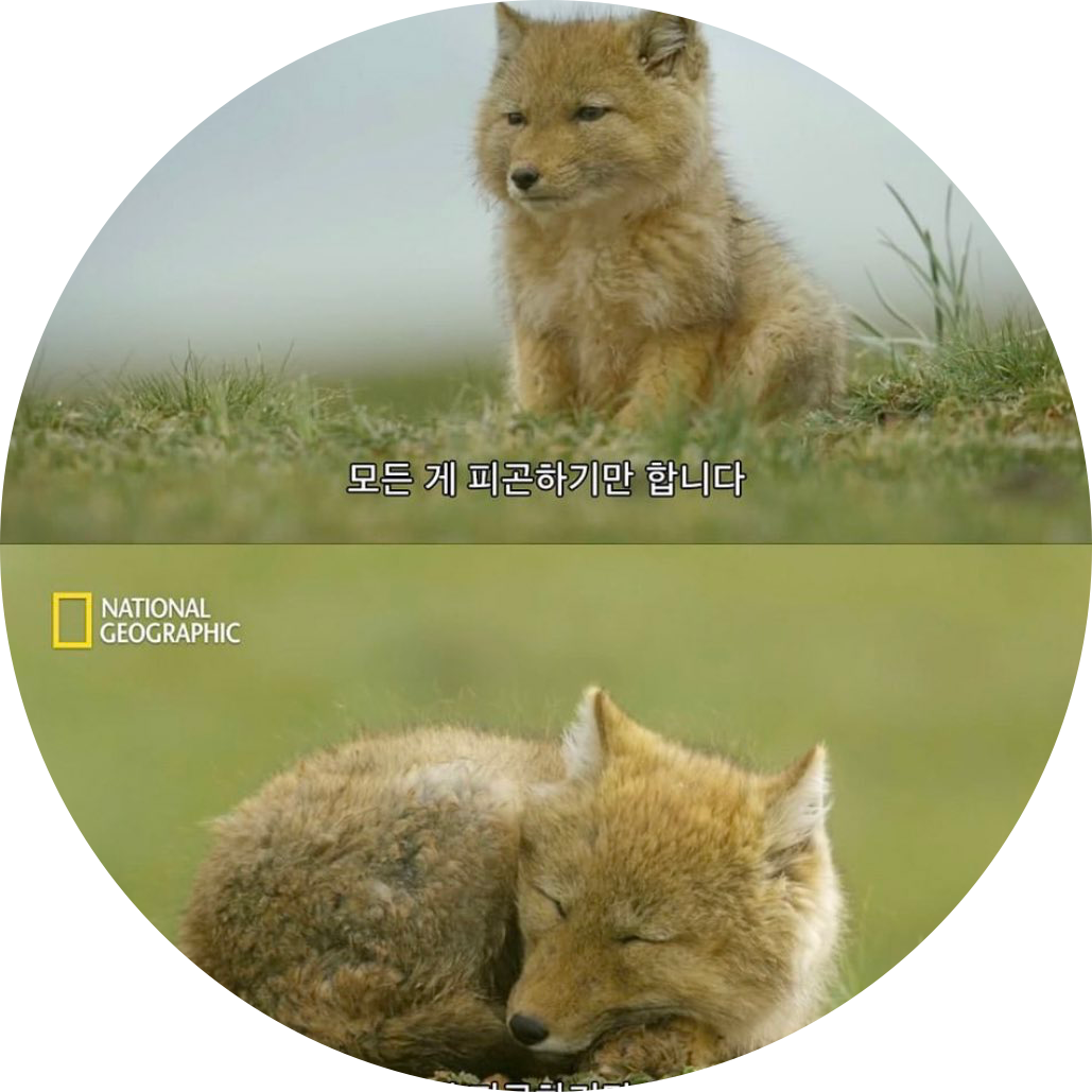 한밀 프로필