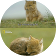 한밀