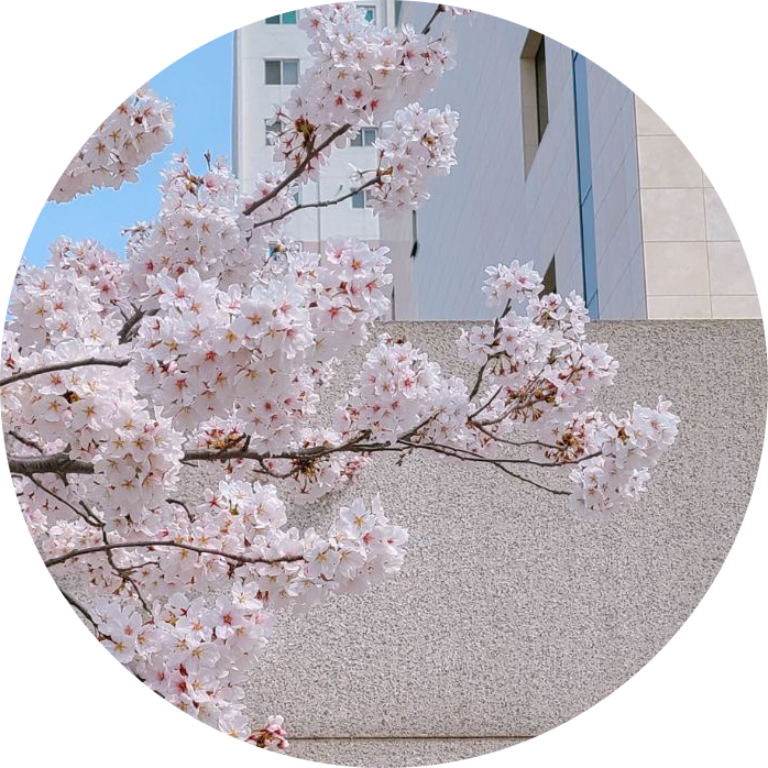 리뷰어 프로필