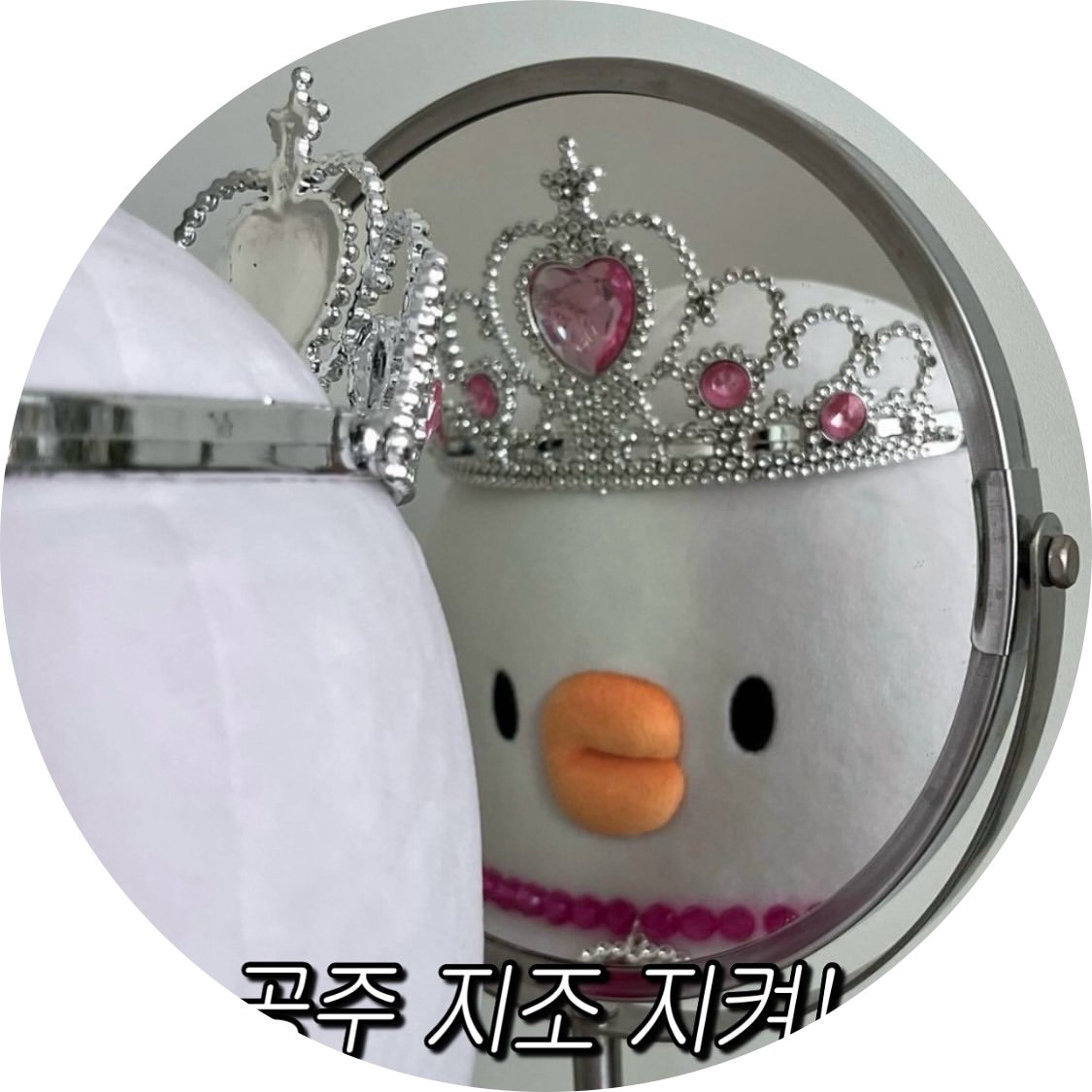 프린세스고 프로필