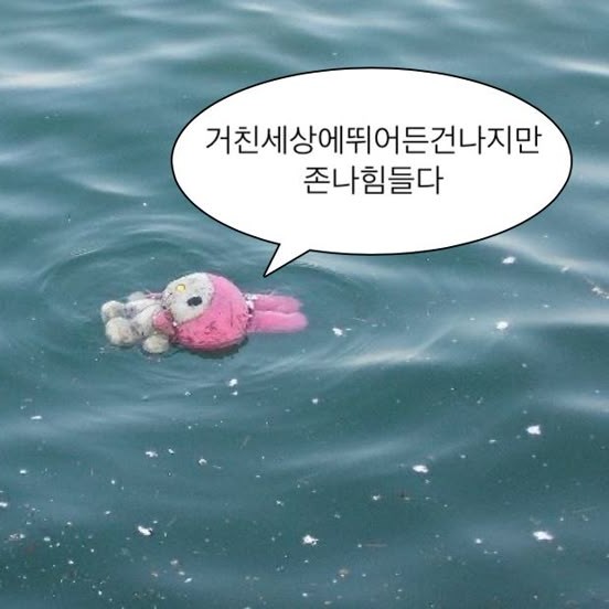 정이뮤 프로필