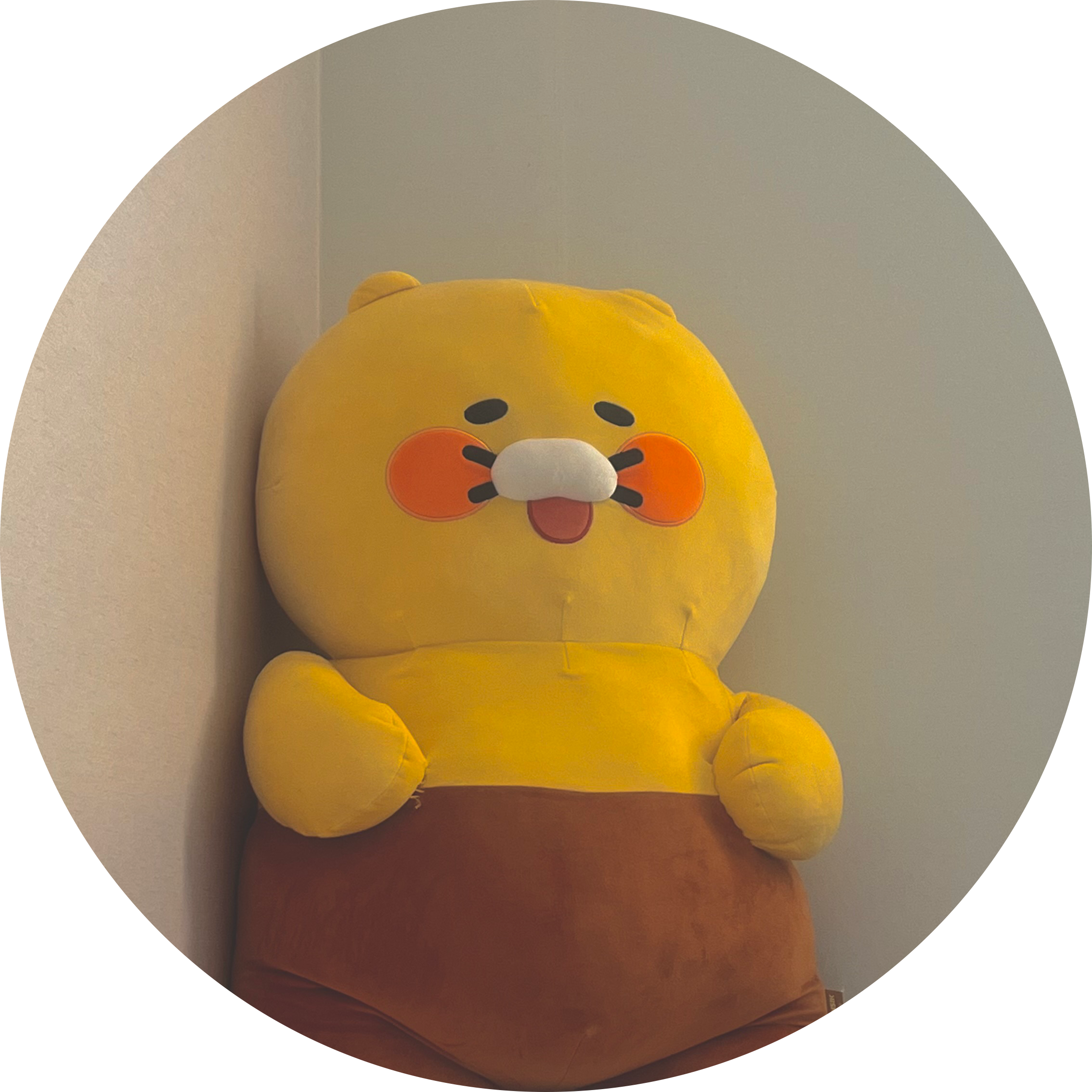 자두욤 프로필