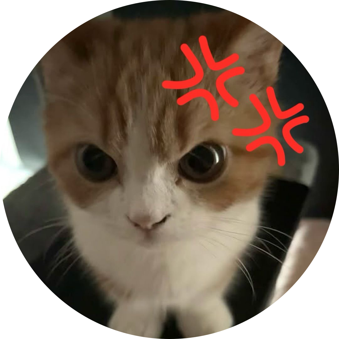 xhaneux 프로필