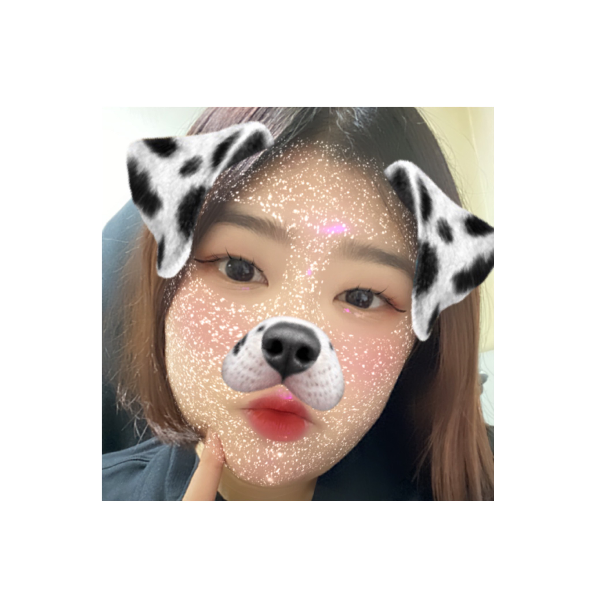 아기키티공쥬 프로필