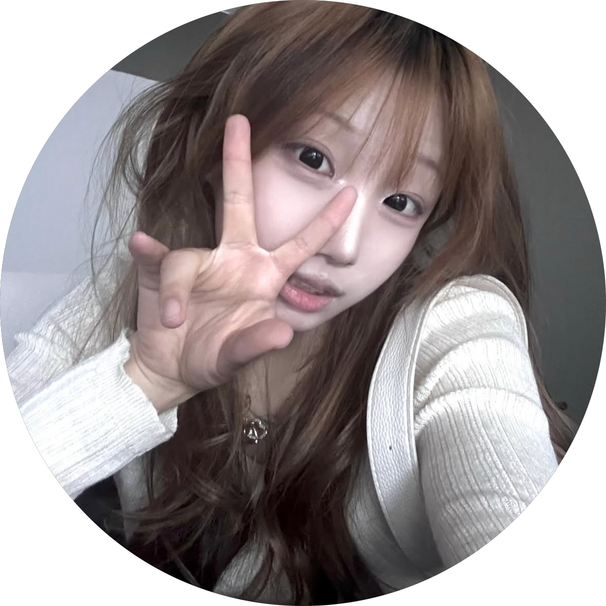 기여미공쥬님 프로필