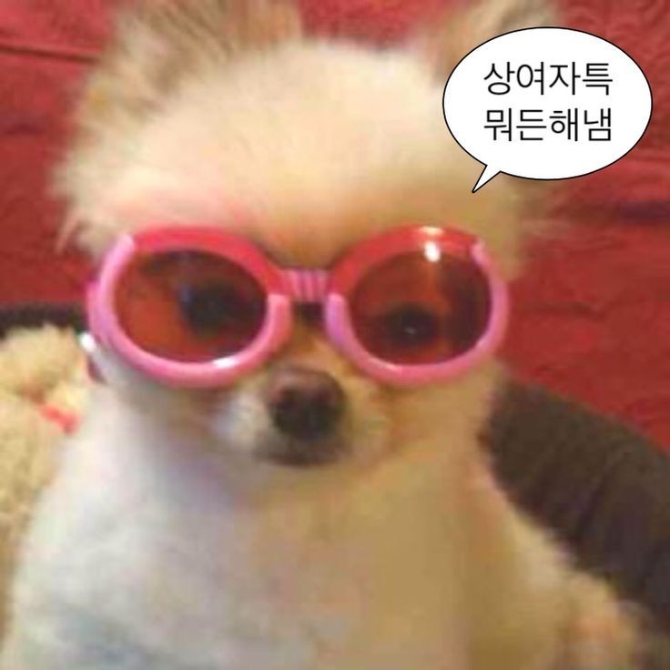 리뷰어 프로필