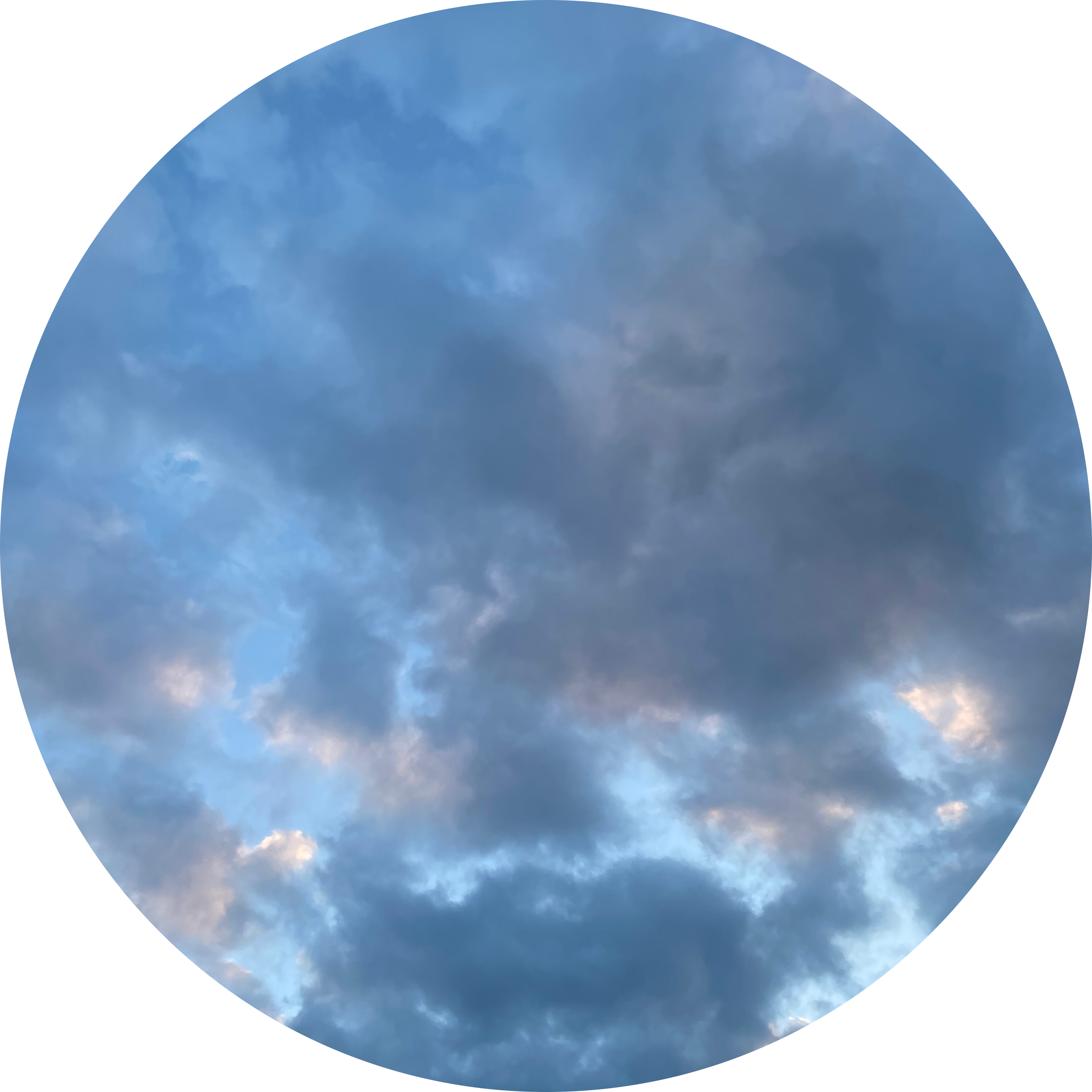 liky24 프로필